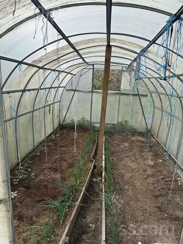 Rajumsila 6, Shkirotava — foto 5