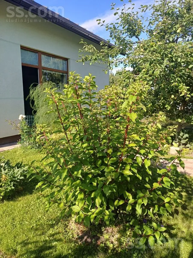 Miķelīšu 14, Ogre — foto 3