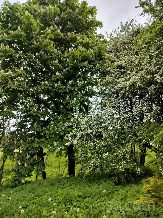 Kalna iela, Madona — foto 5