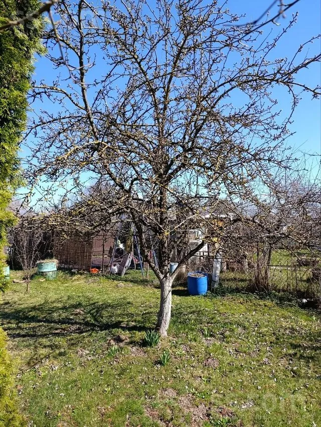 Lidlauka, Rumbula — foto 2