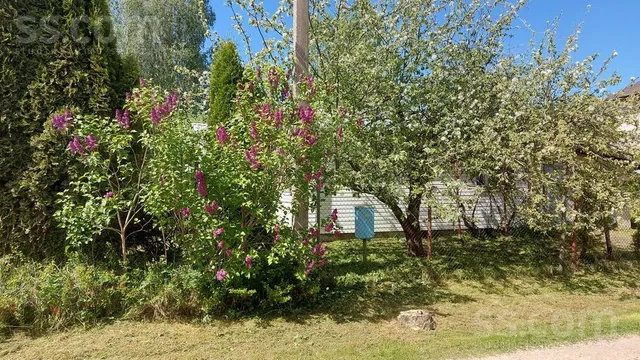 Zīles 66, Vaivadi, Olaines pag. — foto 2
