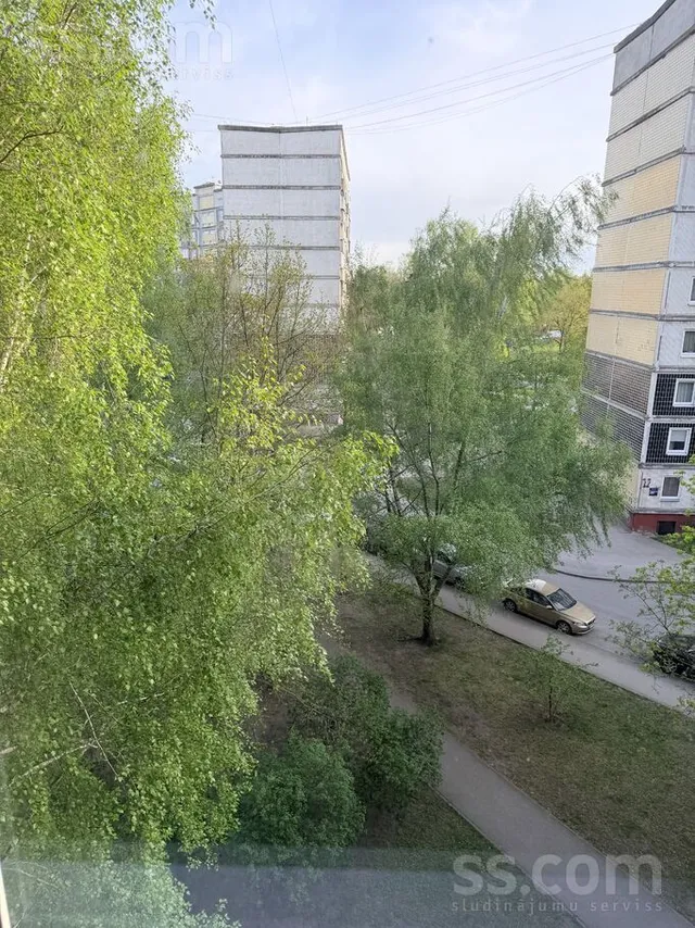 Ruses 5, Zolitude — foto 5