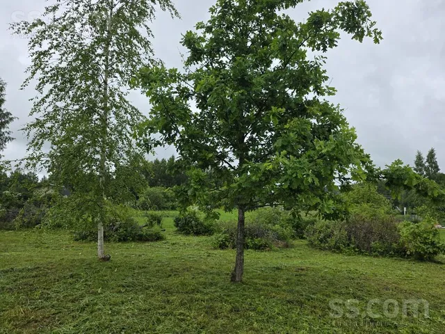 Ilgas 87, Smiltene — foto 3