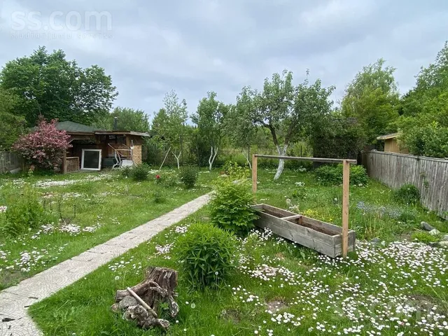 Dzintars 207, Akmeņdziras, Tārgales pag. — foto 4