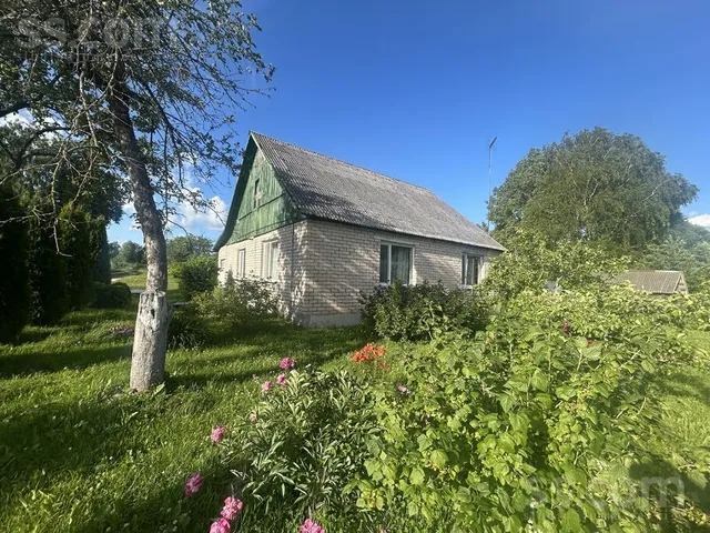 Rudņi, Piedruja, Piedrujas pag. — foto 3