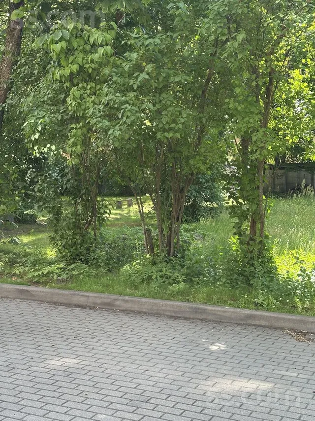 Kalnciema 48, Agenskalns — foto 5