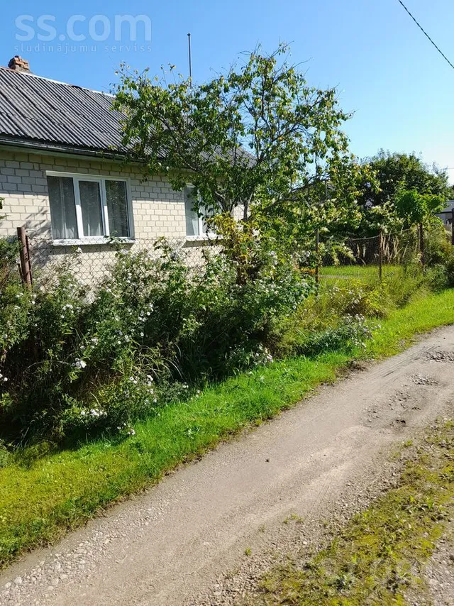 Peterupe, tukuma 5, Jubileja, Saulkrastu l. t. — foto 3