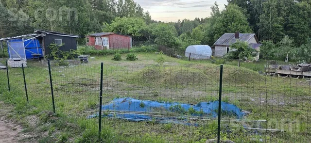Augļu darzs 370, Pleikšņi, Ozolaines pag. — foto 2