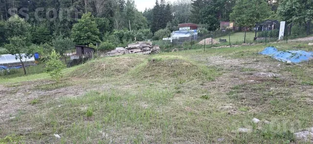 Augļu darzs 370, Pleikšņi, Ozolaines pag. — foto 4