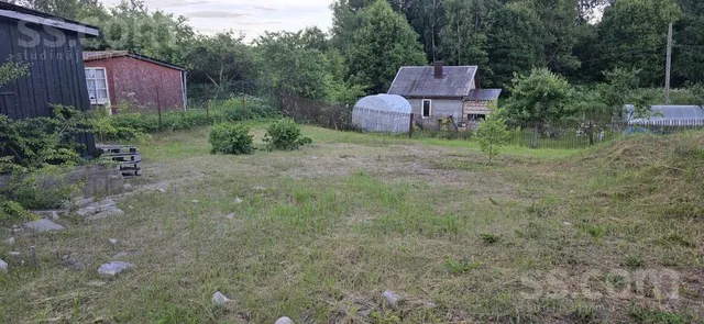 Augļu darzs 370, Pleikšņi, Ozolaines pag. — foto 5