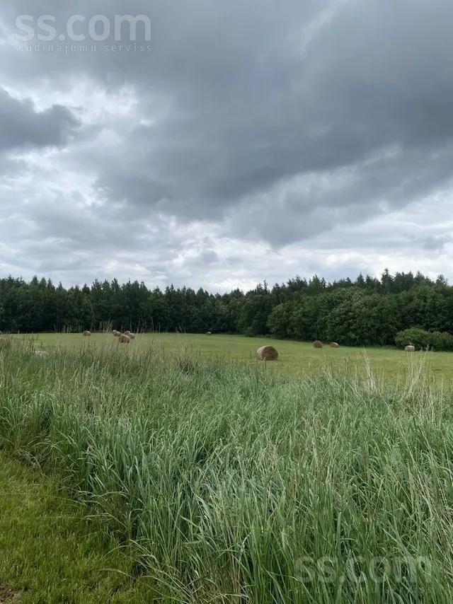 Kļaviņas, Birzgale, Birzgales pag. — фото 3