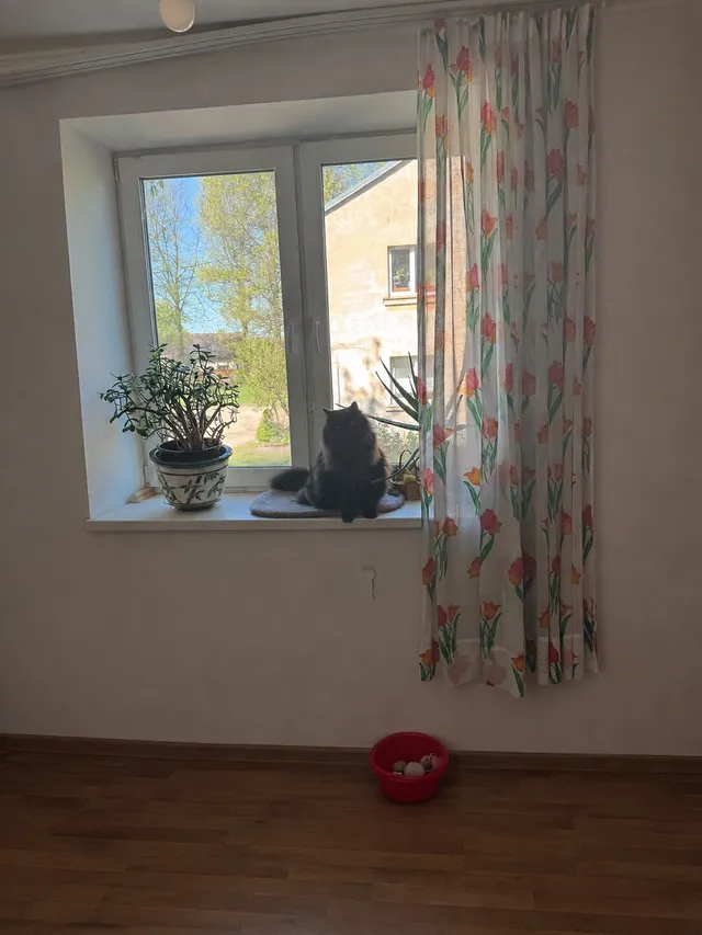 Čiekurkalna 4. šķērslīnija 26 — foto 5
