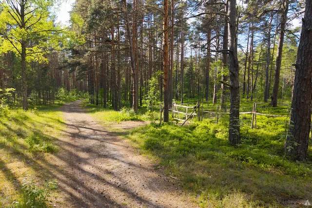 Jūrmala, Jaunķemeri, Stigas iela 5 — foto 3