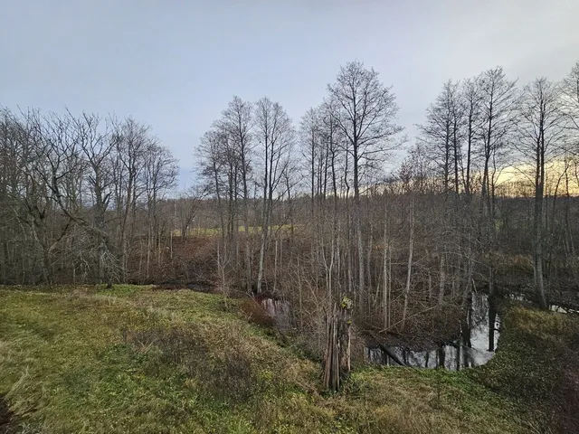 Madonas nov., Sarkaņu pag., "Jaundilmaņi" — фото 5