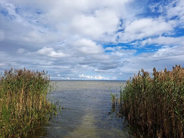 Talsu nov., Mērsraga pag., Lielā iela 108 — foto 5