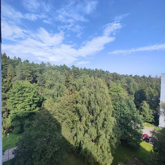 Ogre, Zilokalnu prospekts 22 — foto 2