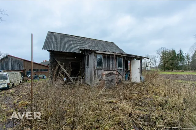 Pāpuļi — foto 5