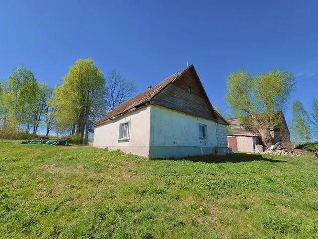 Zaķīši — foto 3