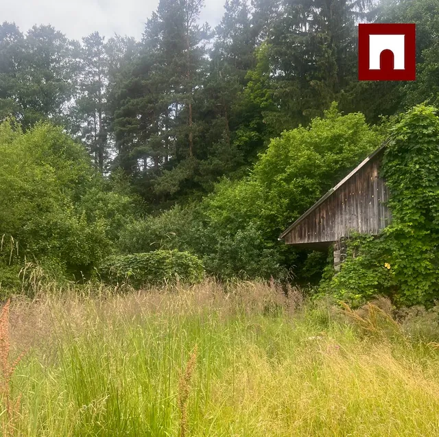 Jūrmala, Ķemeri, Palangas iela 11a — foto 2