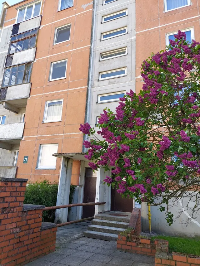 Liepāja, Eduarda Tisē iela 71 — foto 3
