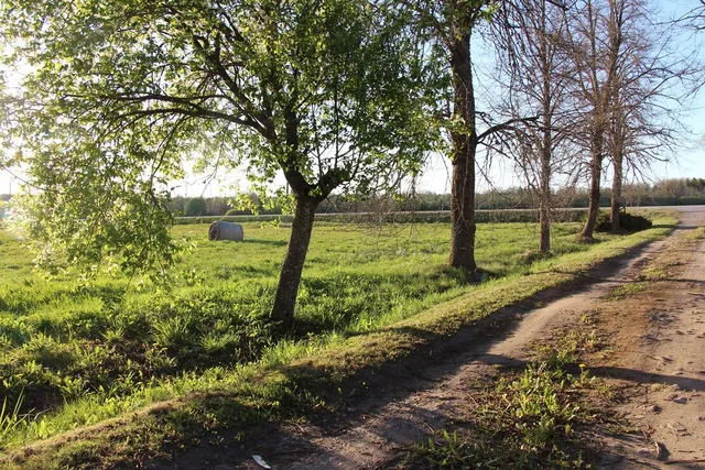 Kuldīgas nov., Vārme, Jaunpīlēģi — фото 5