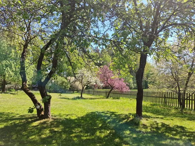 Talsu nov., Valdgales pag. — foto 3